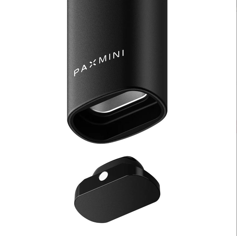 Pax - Mini 2