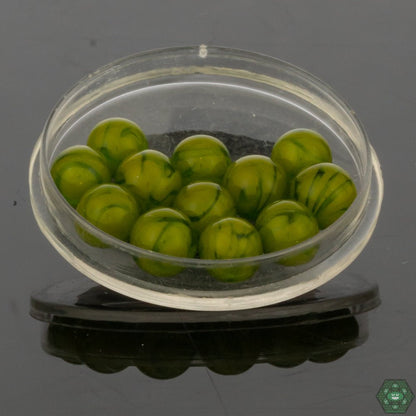 Algae Glass - Brain Tech Pearl Sets - @Algae._ - HG